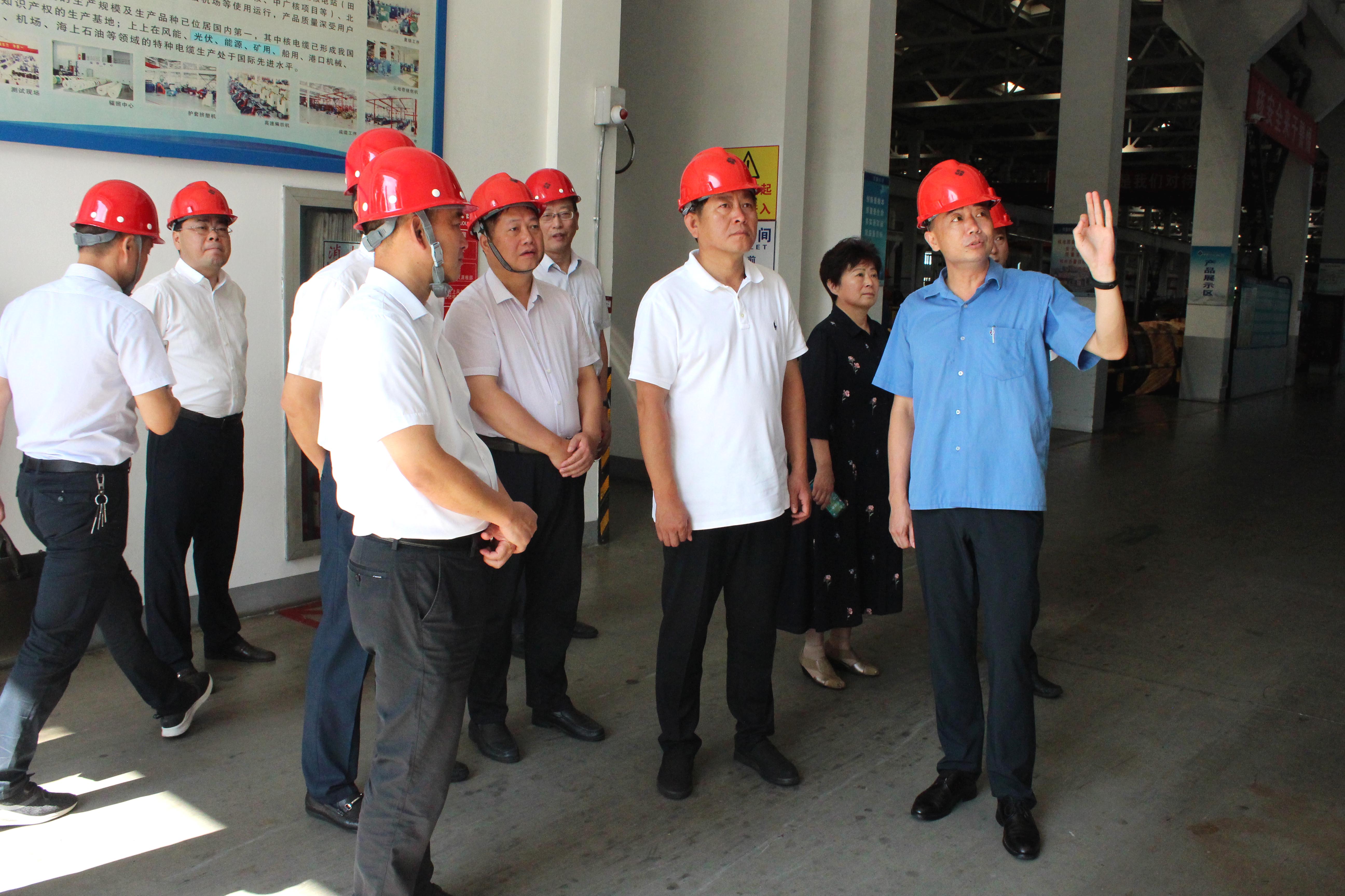 2019年8月3日，河南省信陽市考察組來上上參觀考察