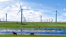 呼倫貝爾風力發電