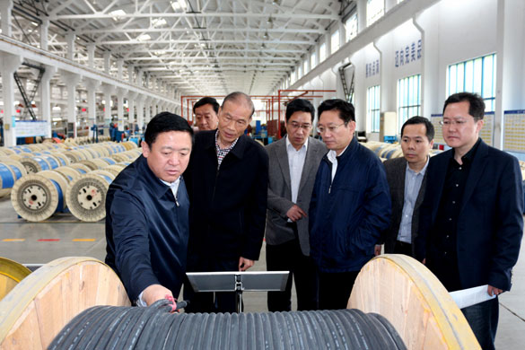 4月25日，青海省海南州州長來上上電纜考察