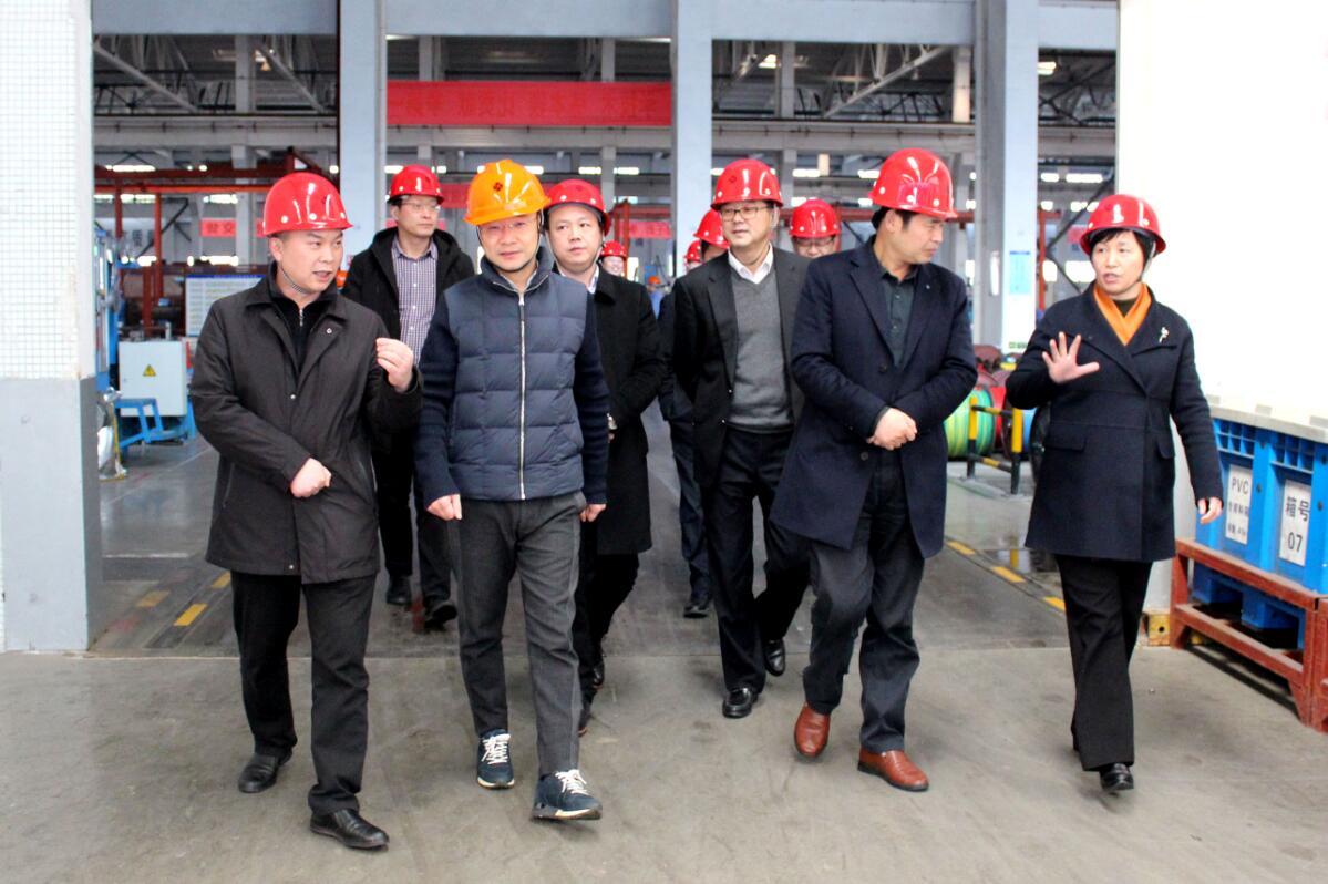 2019年3月7日，廣安市岳池縣考察團來上上電纜參觀考察